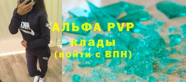 экстази Бородино