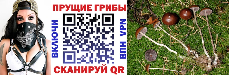 Галлюциногенные грибы мицелий omg сайт Десногорск